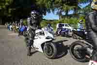 Middle Group White Bikes